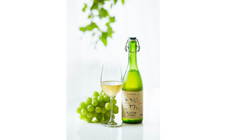 井筒ワイン 酸化防止剤無添加 果汁発酵 生ワイン 白 720ml x 2本 要冷蔵 発売元 株式会社片山