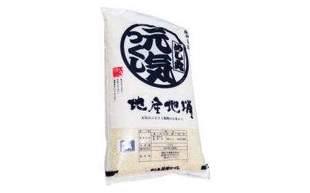 【先行予約】令和7年産 元気つくし 5kg×1袋 ／ 米 お米 ご飯 精米 九州 福岡