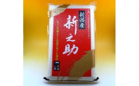 【令和7年産米】真空パック 特別栽培米 新之助 無洗米 10kg（5kg×2袋） 山波農場のお米 新潟県産 [Y0593]