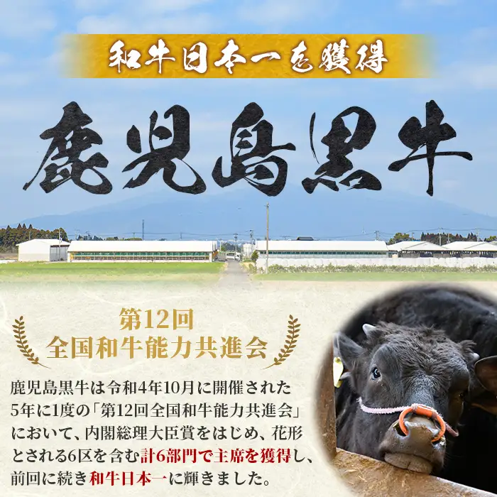 鹿児島黒牛 シャトーブリアン 約300g 約150g×2枚 ヒレ ステーキ【新村畜産】C01013