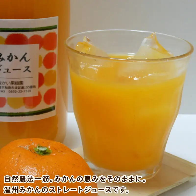 温州 みかん ジュース 720ml×2本 農薬 化学肥料 除草剤 不使用 なかい果樹園 ジュース H010-144004
