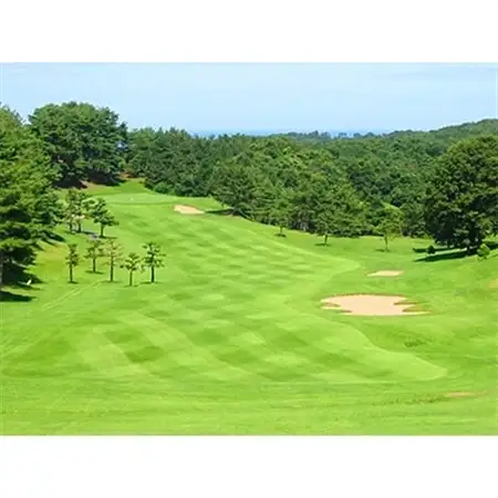 【宮城野ゴルフクラブ】平日 ペアプレー券【配送不可地域：離島】【1083800】