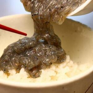 冷凍三陸生しらす漬け丼の具（100g×4パック）しょうゆタレ付き