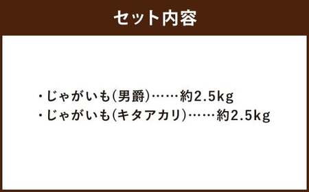 情熱じゃがいも（男爵・キタアカリ）食べ比べセット 5kg 【2026年10月上旬～2026年12月上旬迄発送予定】 じゃがいも ジャガイモ 男爵 キタアカリ 5kg 食べ比べ 野菜 ポテト 北海道