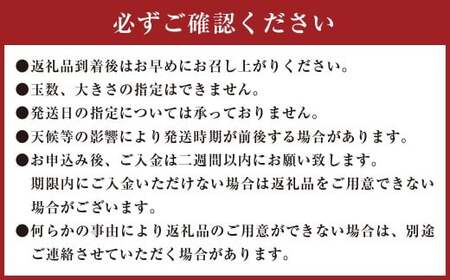 【訳あり】 ご家庭用 濃厚不知火 10～20玉 （ 約4kg ） デコポン みかん 柑橘 果物 フルーツ 熊本 【2027年2月下旬-3月上旬発送予定】