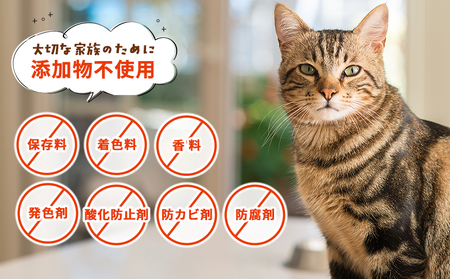 ＜CalNyan（カルニャン）2個セット＞ 国産 詰合わせ 1袋約60g 猫 ペット おやつセット 愛媛県産 SDGs ヒューマングレード トリーツ 養殖真鯛 フードロス (株)SakuSaku 愛媛県 西予市【常温】『1か月以内に順次出荷予定』USA0022