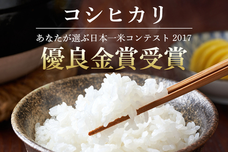生活応援！獅子米コシヒカリ精米 10kg ×2袋 お米 白米 20kg 産地直送 こしひかり 茨城県 石岡市 B02-091