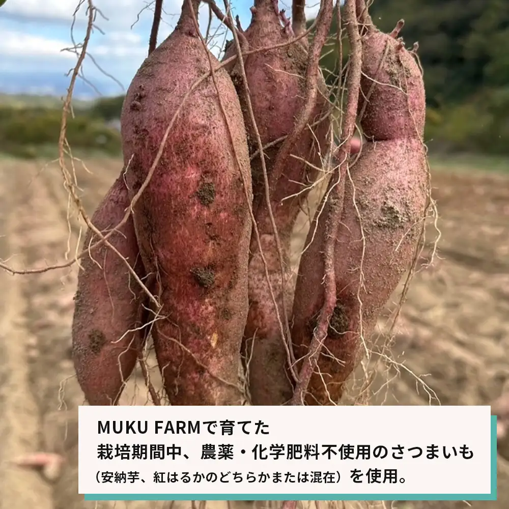【淡路島産】冷凍焼き芋　2kg　不揃い【栽培期間中、農薬・化学肥料不使用】焼き芋