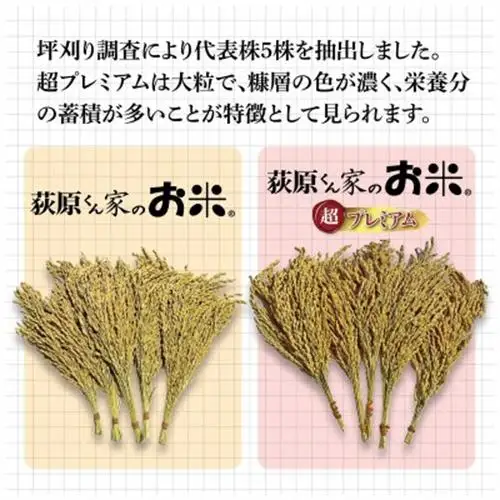 荻原くん家のお米超プレミアム白米 計27kg【1706308】