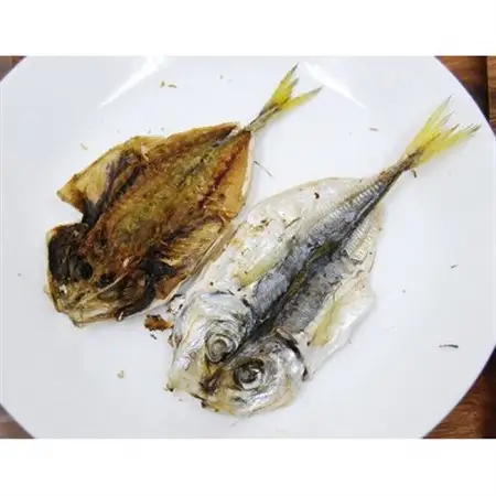 国産 天然魚ジャーキー【鯵/アジ】開き 100g×3袋セット 犬猫用【1185689】
