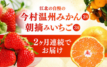 【全2回定期便】 旬のフルーツ定期便 （ みかん ・ いちご ）[HZY101]