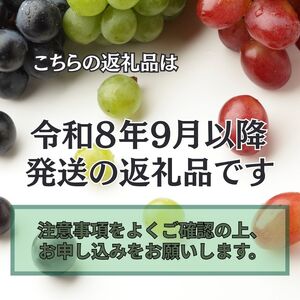 ぶどう 【先行予約 令和8年分】シャインマスカット 約1kg [BRBI004]