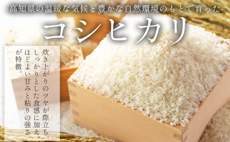 【3回定期便】令和8年産 高知県香南市産 特別栽培米 コシヒカリ 10ｋｇ Wnu-0013