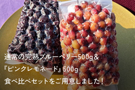 【希少品種食べ比べ】冷凍ブルーベリー ピンクレモネード＆大粒品種 1kgパック(500g×2)  日付指定可 A16-013 ブルーベリーファクトリー