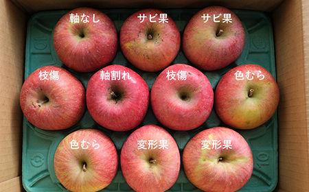 《先行予約》2026年 山形県産 完熟 サンふじ りんご ご家庭用 訳あり 3kg 7~10個 2026年12月上旬から順次発送 リンゴ フルーツ ※沖縄・離島への配送不可  sw-risfk3