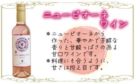 花笑み農園のワイン2本セット『ピオーネワイン＆BKシードレスワイン』WpWbワイン 【hana090-01】
