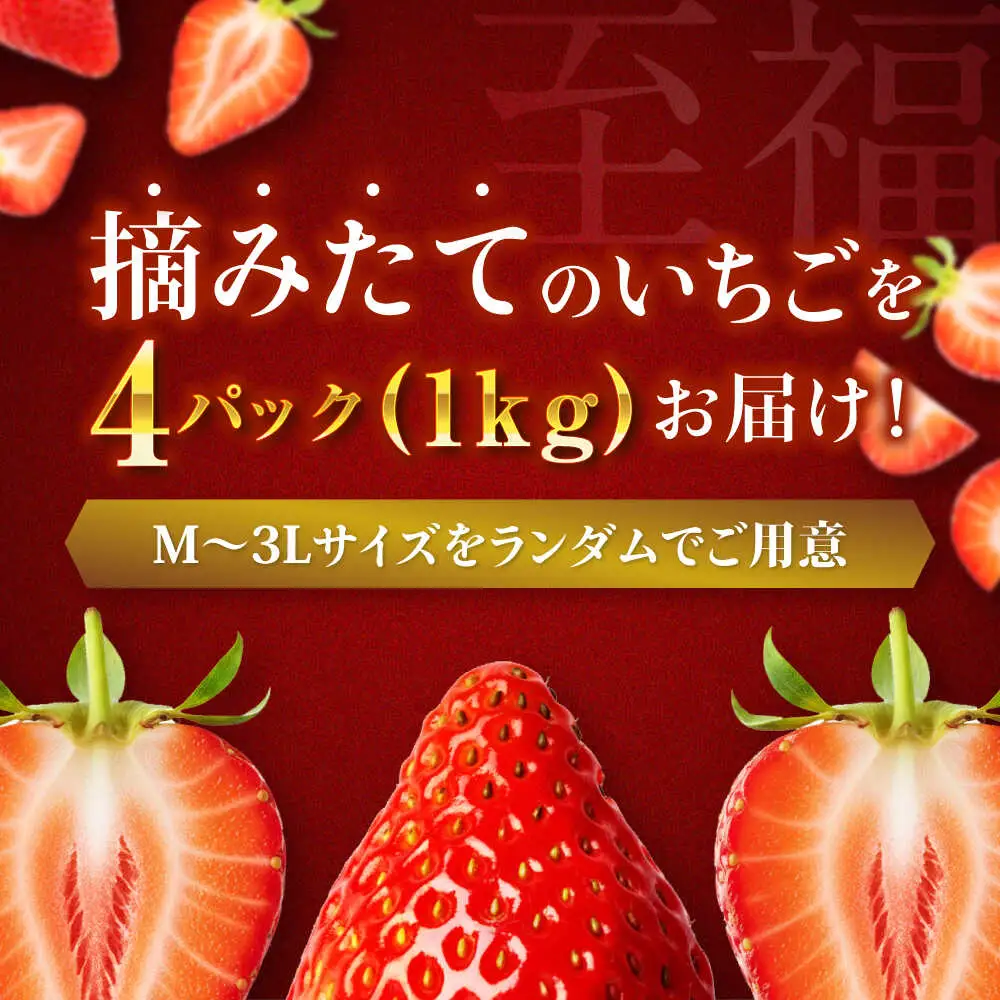 【いちご】いちご 約1kg [AGBN054]