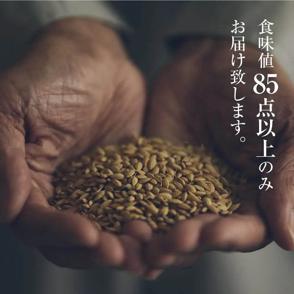 《定期便》令和8年産 コシヒカリ 「黄金の煌き」10kg×6ヶ月 精白米 飛騨の米 和仁農園 白米 金賞受賞 定期 6回 新米 10キロ 飛騨市 どやな飛騨市
