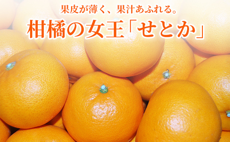 ＜秀品 せとか 約5kg＞蜜柑 ミカン みかん 果物 フルーツ 柑橘 柑橘の女王 果汁 ジューシー 国産 愛媛県産 西予市産 ギフト 贈答用 高級柑橘 特産品 丸二青果 愛媛県 西予市【常温】『2026年2月頃に順次出荷予定』MMY0007