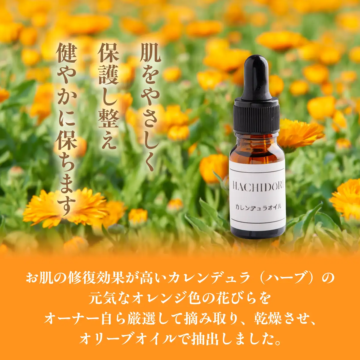 カレンデュラオイル 8ml×1 MROC005