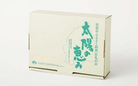 【6回定期便】クロレラセオリー 900粒（200mg×300粒×3袋） 健康食品 健康 錠剤 サプリ サプリメント スーパーフード クロレラ