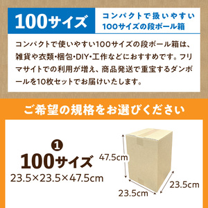 梱包用段ボール 100サイズ 10枚  梱包用 段ボール セット 選べる サイズ 規格 コンパクト 扱いやすい 段ボール箱 梱包 衣類 収納 片付け 整理 DIY 工作 荷物 引っ越し 防災 備蓄 便利 フリマ 通販 配送 荷造り お取り寄せ 愛知県 小牧市 送料無料 [206A02]