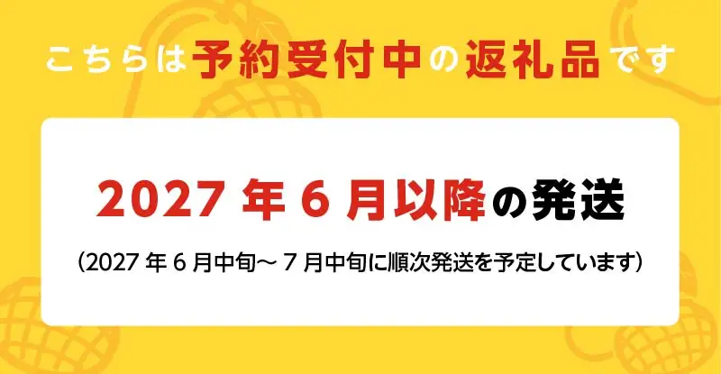 【2027年6月以降お届け】極　完熟マンゴー（2～3玉：約1.1～1.3kg） _ 〔Fm018-023〕