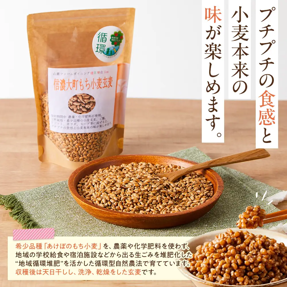 【信濃大町循環ブランド】自然栽培あけぼのもち小麦玄麦６袋セット