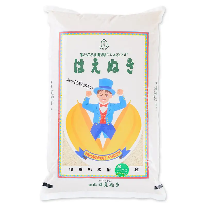【令和7年産】 お米マイスターおすすめ 新庄産「はえぬき」（精米）10kg F3S-2891