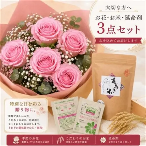 6月発送!同級生コンビでお届けするピンクバラのブーケとおいしいお米(精米)のセット・栄養剤付き!【1708205】