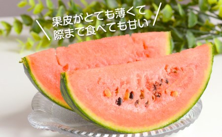 和歌山産小玉すいか ひとりじめ7（2～3玉）≪先行予約2027年5月下旬頃から順次発送予定≫【0140-4】