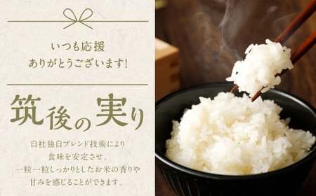 【3回定期便】 筑後の実り 10kg×3回 定期便 米 白米 ブレンド ご飯 国産 贈り物 定期便 福岡県 筑後市