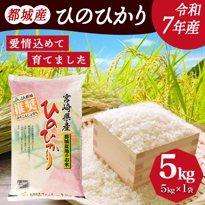 都城産ひのひかり5kg(5kg×1袋)〔AA-15-005-5kg〕_(都城市) 令和7年産 都城産 お米 5kg ひのひかり