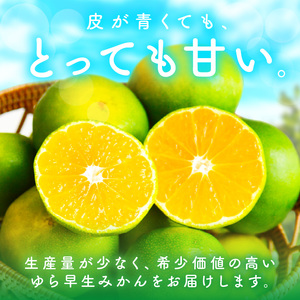 【0162-3】糖度抜群！ゆら早生（みかん）5kg≪先行予約≫