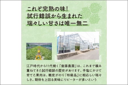 【0247-4】斎藤農園ブランド「ビクトリーメロン」アールスメロン（マスクメロン）1玉 1.5kg程度≪先行予約2026年6月下旬以降発送分≫