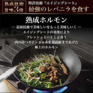旬熟成　熟成タレ漬けホルモン 900g　【11100-2229】
