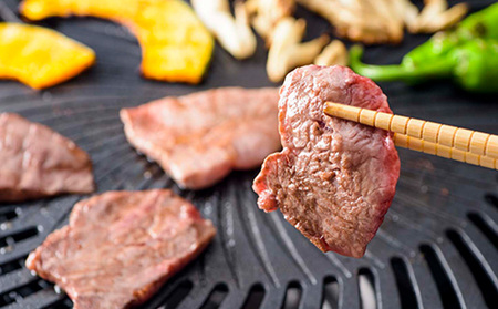 【定期便3回】もとぶ牛モモ焼肉(自宅用)500g 焼肉 牛肉