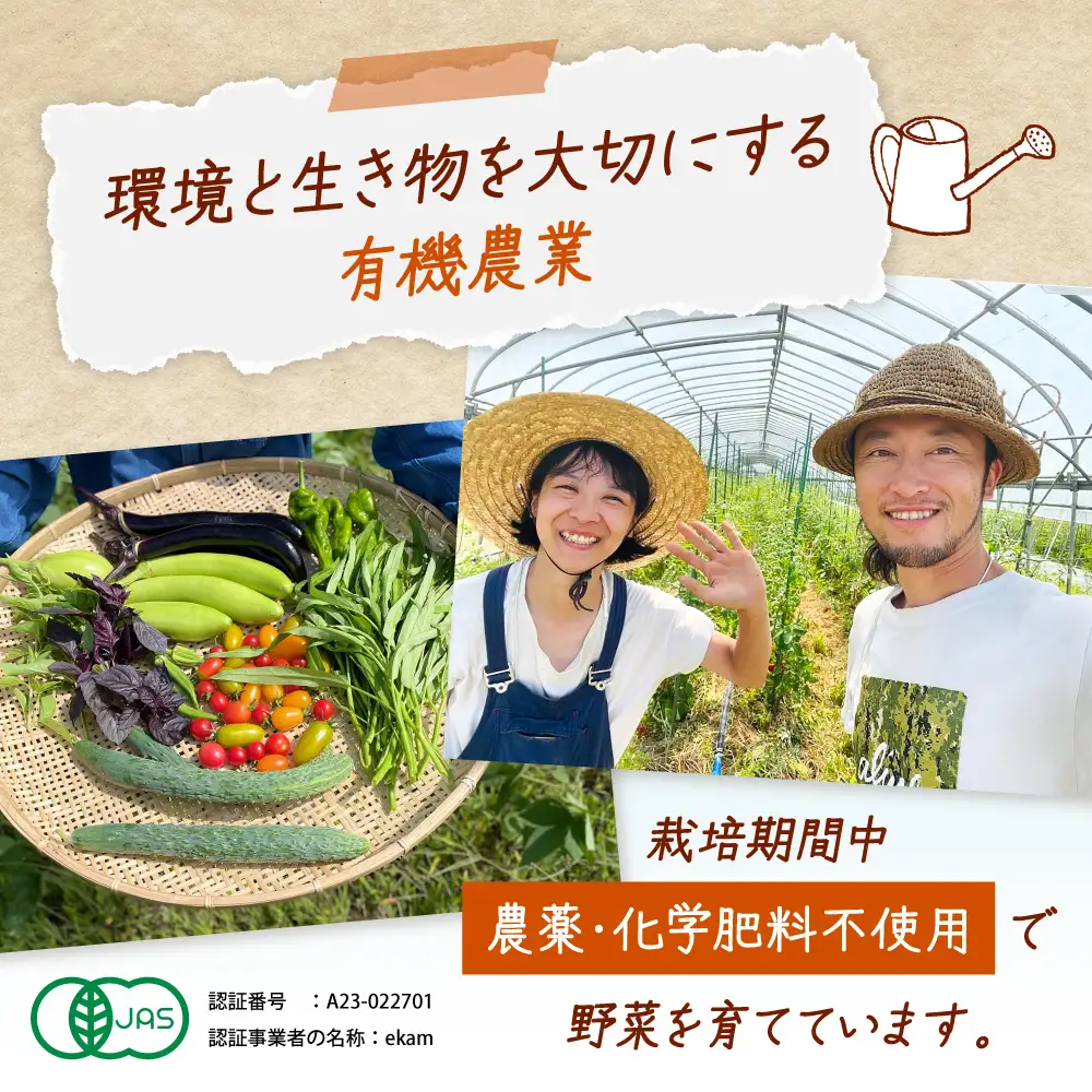 乾燥小粒青大豆（品種：黒神）400g【ekam】 大豆 [AXBV011]