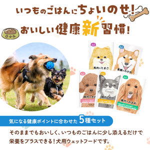 ちょいのせDeli 5種 × 各4袋 セット | ペット 愛犬 犬 ウェットフード 国産 ドッグフード 熊本県 玉名市