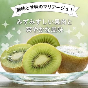 秀品 キウイ 24~30玉 3.6kg キウイ
