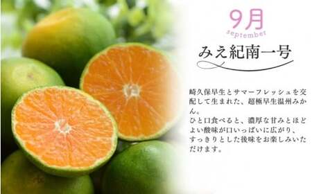 みかん 定期便 3回 計9kg 【超極早生温州・極早生温州・由良早生】みかん【nkmr-tkb0007】
