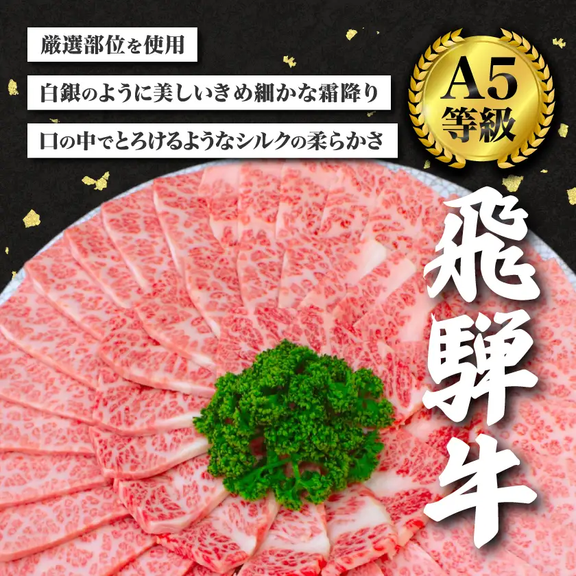 【訳あり】飛騨牛切り落し焼肉用600g【配送不可地域：離島】【1708987】