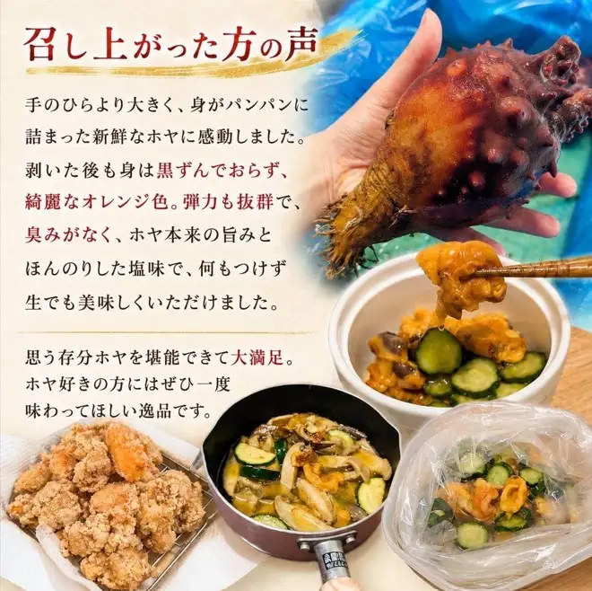 でっかい！！ ホヤ専門業者の殻付きホヤ 10個 ＼5月以降順次発送／