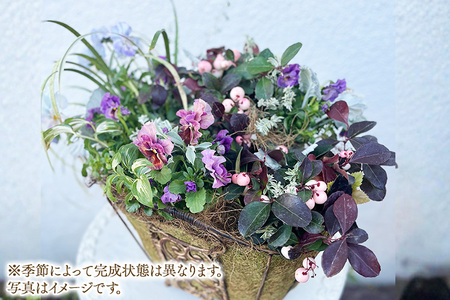 Botanical Mélange ～お花とリーフが調和する根付き植物アレンジメント～ ※2026年11月～発送