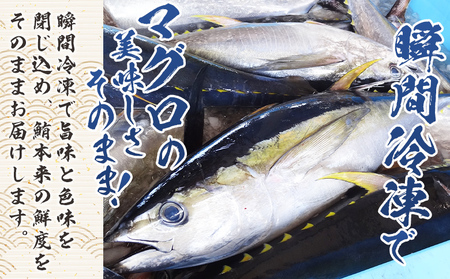 【12回定期便】まぐろ さいころサイズ(150ｇで2～3人前) 150g×8袋 - 定期便 国産 海鮮丼 漬け丼 煮物 鮪 マグロ カット済み 角切り 小分けパック 新鮮 魚介 産地直送 龍馬の海鮮隊 野島水産 高知県 香南市 Wnz-0075