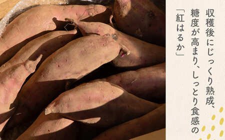 【数量限定】境町産 熟成紅はるか さつまいも 約3kg (SS～S) 土付き K2691