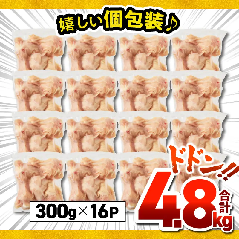 鹿児島県産 若鶏 手羽元 4.8kg セット KN165-005-01 肉 鶏肉 冷凍