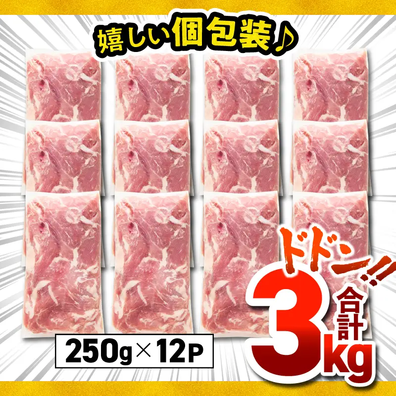 鹿児島県産 豚肉 切落し 3kg セット KN165-008-01 肉 冷凍