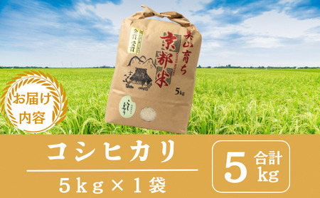 コシヒカリ 5kg 米 お米 コシヒカリ