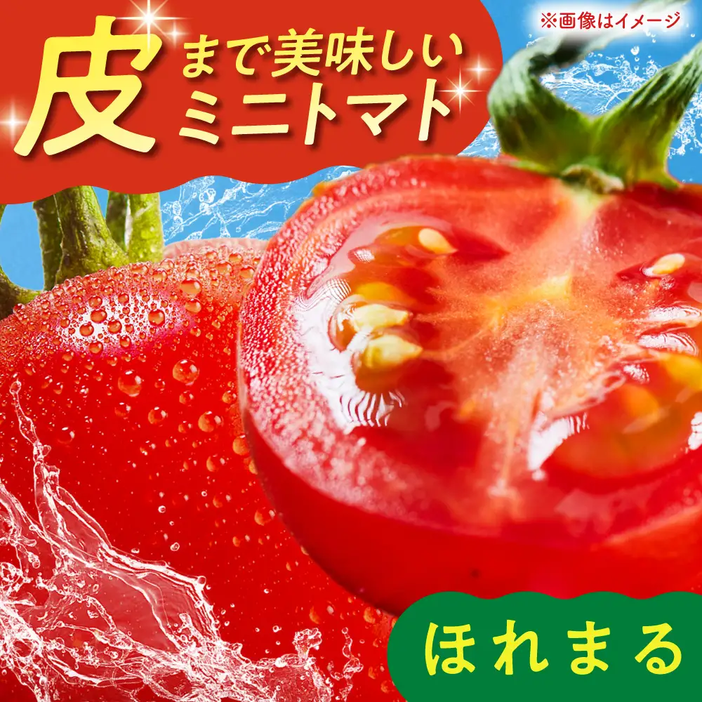  ミニトマト ほれまる 500g×4パック [AJAJ012] トマト 夏